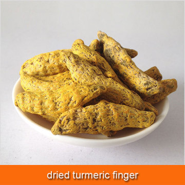 dried turmeric finger