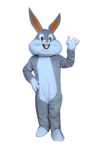 cartoon character costumes