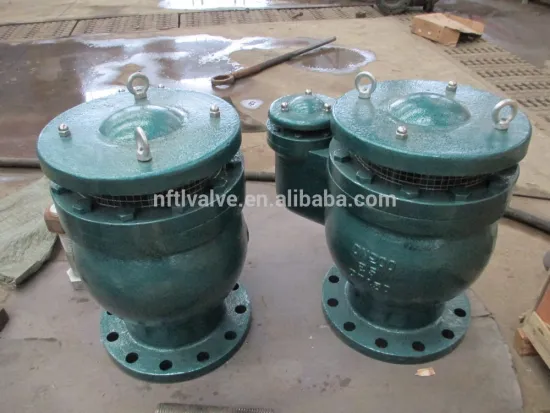 automatic exhaust valve