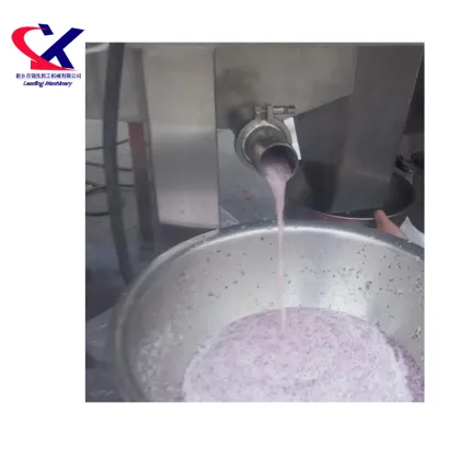 Automatic Dragon Fruit Puree Processing Machine