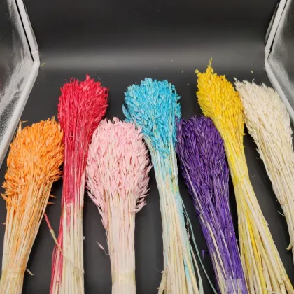 2024 Popular Eco-friendly Dried Oats Flowers for DIY Projects