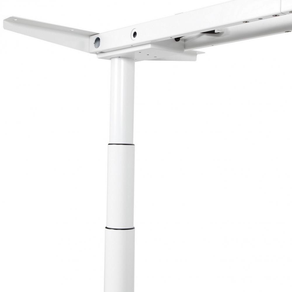 Stand up Motorized Adjustable Height Standing Desk