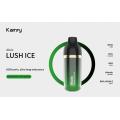 Kamry Akula Mesh 코일 6000puffs