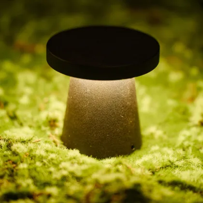 LEDEAST T-BT005 DC24V 6W IP65 Outdoor Mushroom-shaped LED Footlight