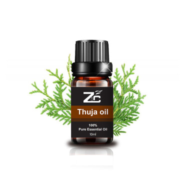 100 ٪ روغن اسانس خالص Thuja پراکنده روغن طبیعی