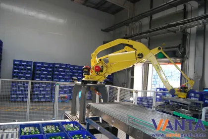Palletizing Material Handling Robots Festo Automation Arm 7.5kw