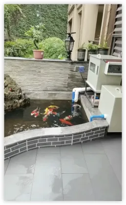 Koi Pond Drum Filter System for Fish Farming