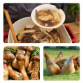 Prix ​​de gros poulet Pot de champignon de sapin de poulet 1,5 kg