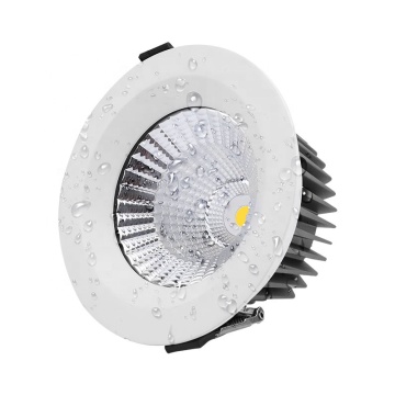 Europäisches Projekt Downlight Spot Lights - LED -Decke Downlight IP65 10W 20W 30W 40W wasserdicht