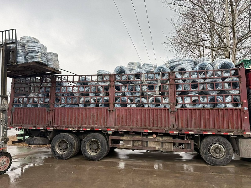 Rislife 40-foot Container Truck Loaded with Customized Motorcycle Tires Shipped to Paraguay, Further Expanding its Latin American Market!