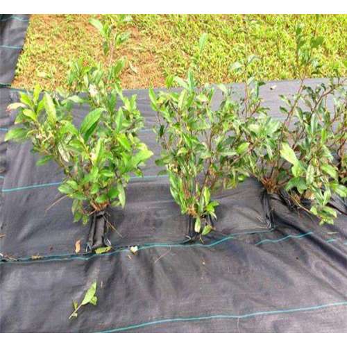 pp ground cover mats