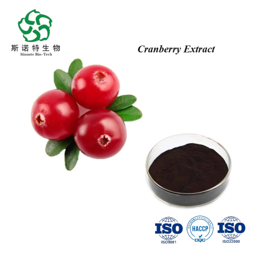 Beverage Ingredient Cranberry Extract Powder Anthocyanidins