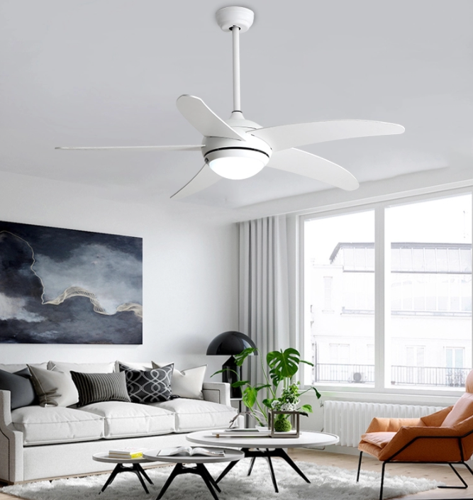 Stylish ceiling fan lights in the living room