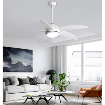 Stylish ceiling fan lights in the living room