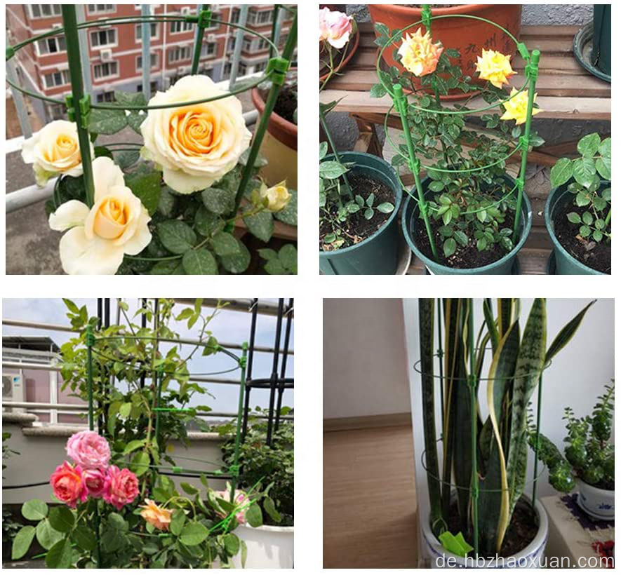 Kletterpflanze Stütze Gitter Tomatenblume 3 Ringe