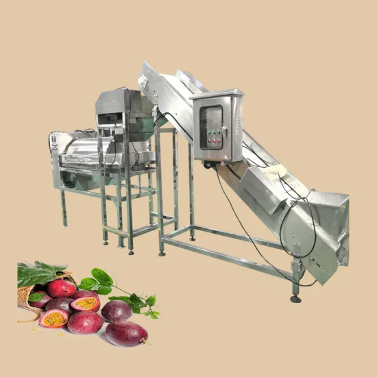 Industrial Intelligent Passion Fruit Seed Lossless Separator Pulping Machine Production Line Design