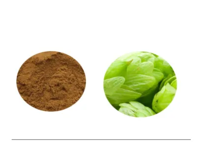 Hop extract hop flower extract hop extract powder