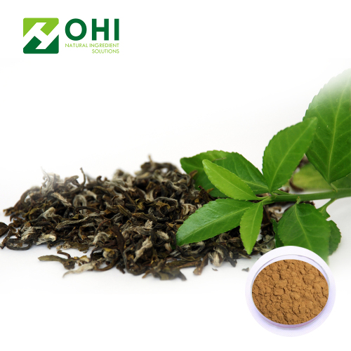 Trà xanh Chiết xuất Trà Polyphenols bột