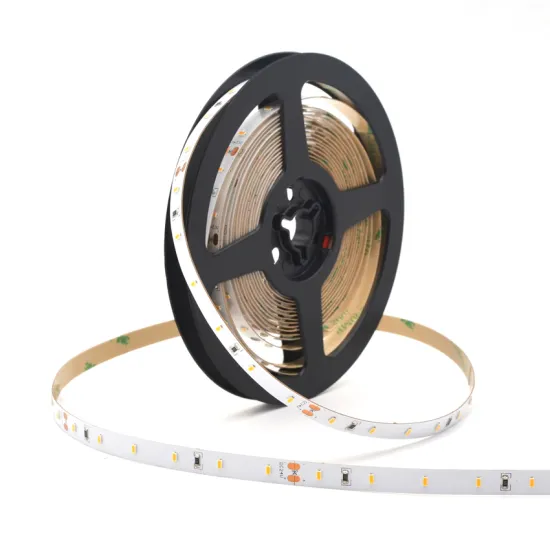 Low Voltage DC12V/24V Warm White SMD3014 LED Strip Manufacturer
