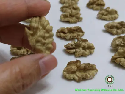 market factory`s hot sale goods Walnut Kernels