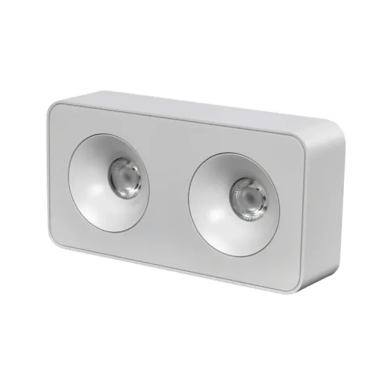 12W-48W LED Indoor Ceiling Down Light