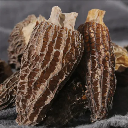 Shenwu Mountain Treasures Canned Morel