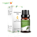 10 ml Rosemary esencial Aceite hidratante Aroma de masaje