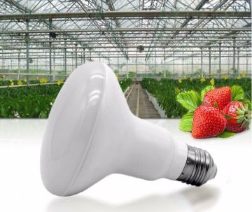 Mushroom Lamp 12w LED Grow Light