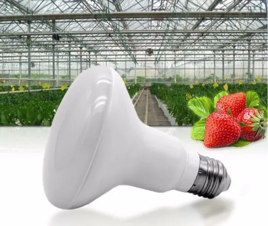 Mushroom Lamp 12w LED Grow Light