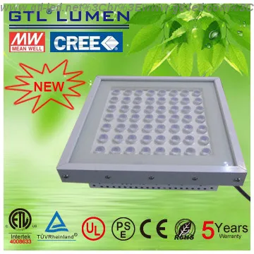 120W IP65 LED Canopy light for Petrol station with ETL listed