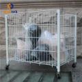 Metal Promotion cage with Wheels