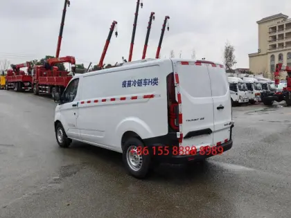 Ford 4x2 Vaccine Cold Chain Transport Refrigerator Truck