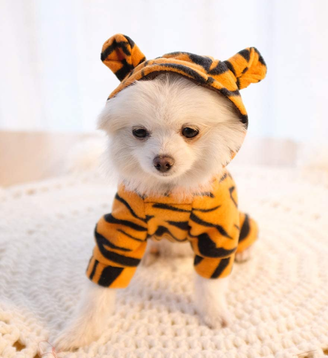 Pet Costume Hoodie Coat for Dogs