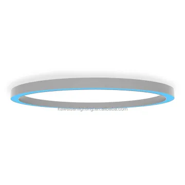 Blue Surface Indoor Lighting: 48\" x 32\" Curved Elliptical Aluminum Profile Ring Panel Lights