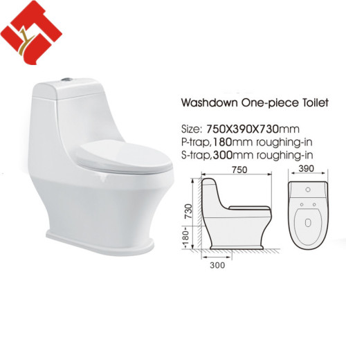 Sanitary Wares Washdown One Piece Handicapped Toilet, High Quality