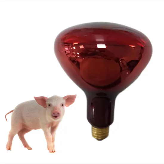 High Quality Poultry Food Heating Lamp - Infrared Bulb Globe Light 250W for Sauna
