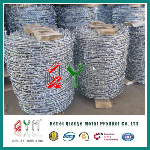 Single Strand/Double Strand Barbed Wire/ Barb Wire