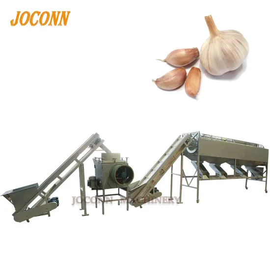 High Efficiency Garlic Separating Production Line - Bulb Separator, Grader, and Skin Peeler