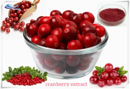 100% Natural Quality Cranberry Extract Powder