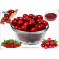 100% Natural Quality Cranberry Extract Powder