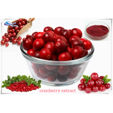 100% Natural Quality Cranberry Extract Powder