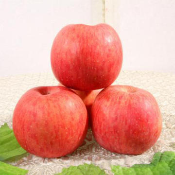 chinese fuji price  fuji apple fresh apple