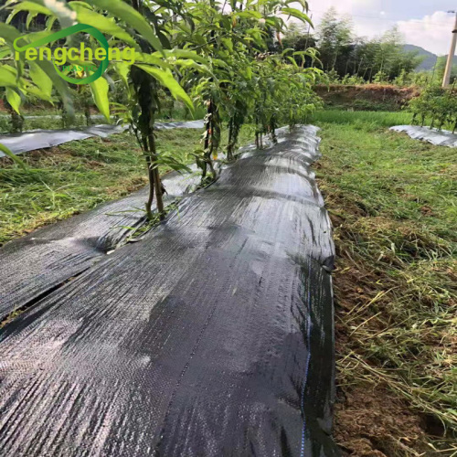 PP woven weed control fabric black landscape ground