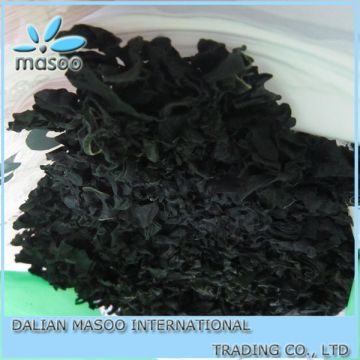 dried-seaweed-dark green seaweed dried seaweed Masoo