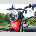 Bosn Cheap 500W electric tricycles