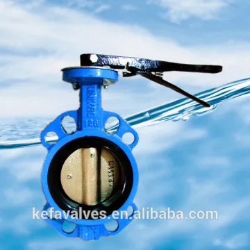 Wafer end type butterfly valve with pin
