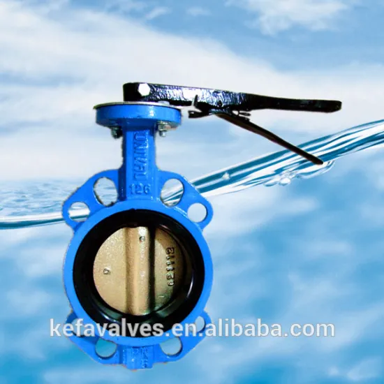 Wafer end type butterfly valve with pin