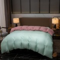/msite/products/detail/productid/62267049/id/1337126.html