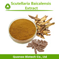 Scutellaria Baicalensis Baical Skullcap استخراج مسحوق