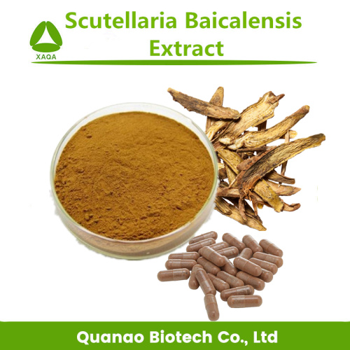 Scutellaria Baicalensis Baical Skullcap Root Extract Powder